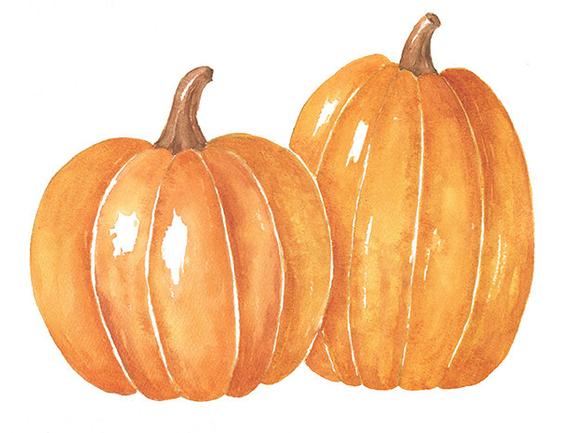 570x433 Two Watercolor Pumpkins Png Clipart 8x10 Watercolor Print Etsy - Watercolor Pumpkin