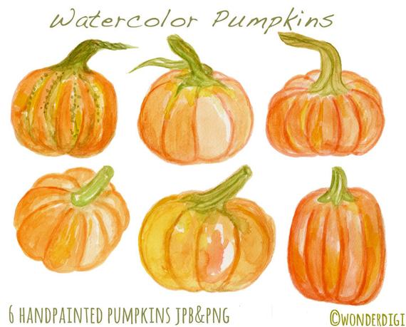 570x459 Watercolor Clipart Watercolor Pumpkins Clip Art Harvest Etsy - Watercolor Pumpkin