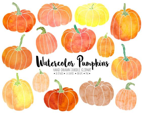 570x446 Watercolor Pumpkin Clipart. Hand Drawn Thanksgiving Pumpkins. Etsy - Watercolor Pumpkin