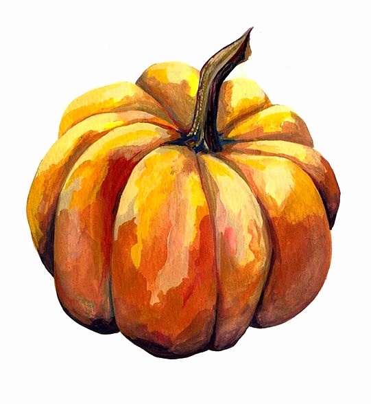541x588 Watercolor Pumpkin Png Elegant 189 Best Fall And Thanksgiving - Watercolor Pumpkin