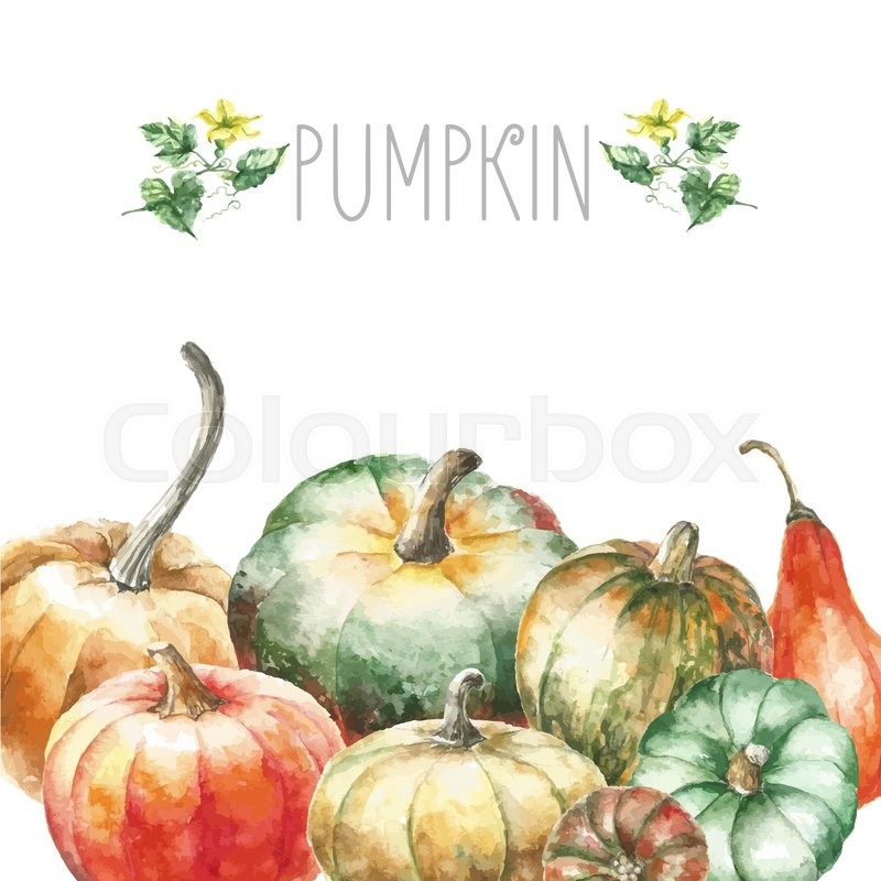 800x800 Watercolor Pumpkin. Hand Drawn Painting Set Pumpkins With Pumkins - Watercolor Pumpkin