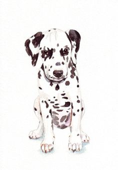 236x338 450 Best Watercolor Dog Portrait Images In 2018 - Watercolor Puppy