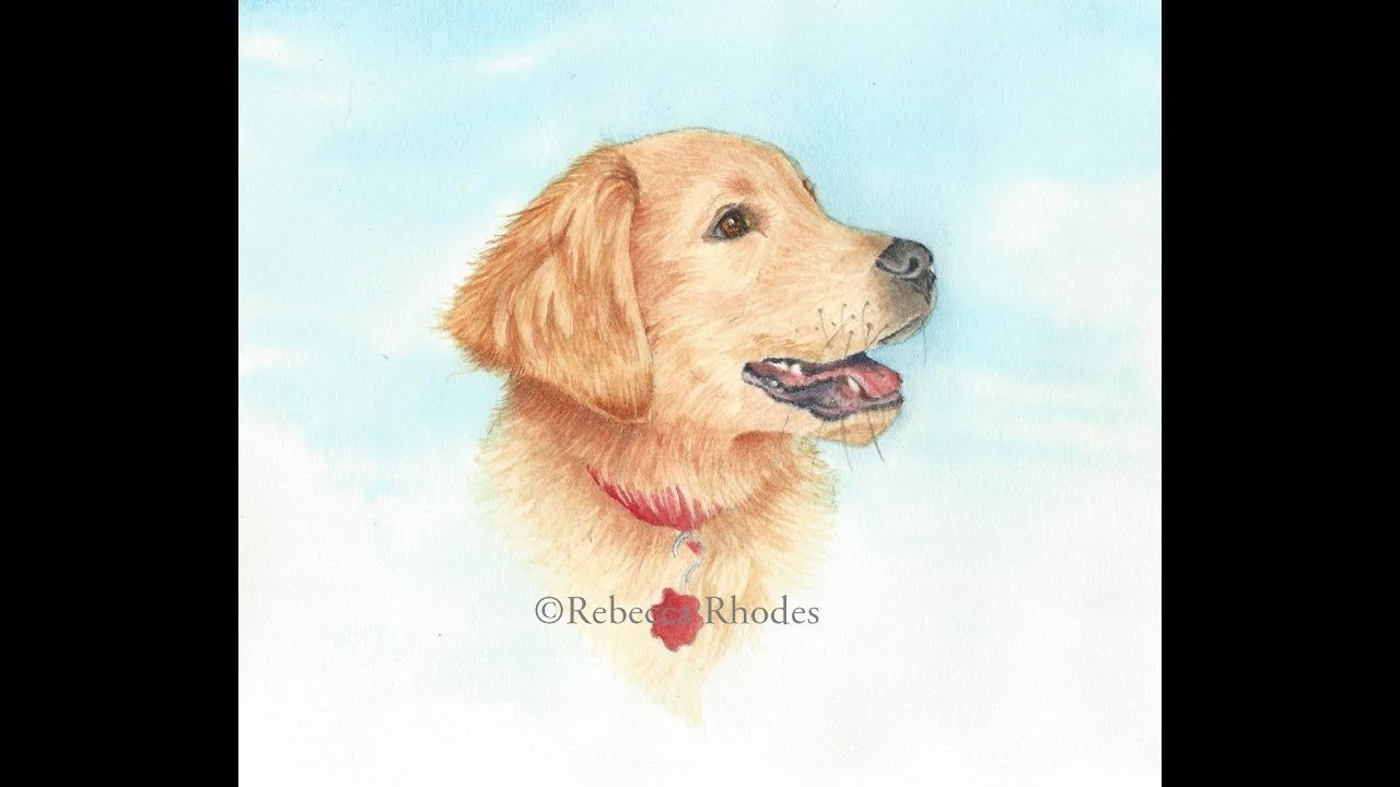 1280x720 How To Paint A Realistic Golden Retriever Puppy In Watercolor - Watercolor Puppy
