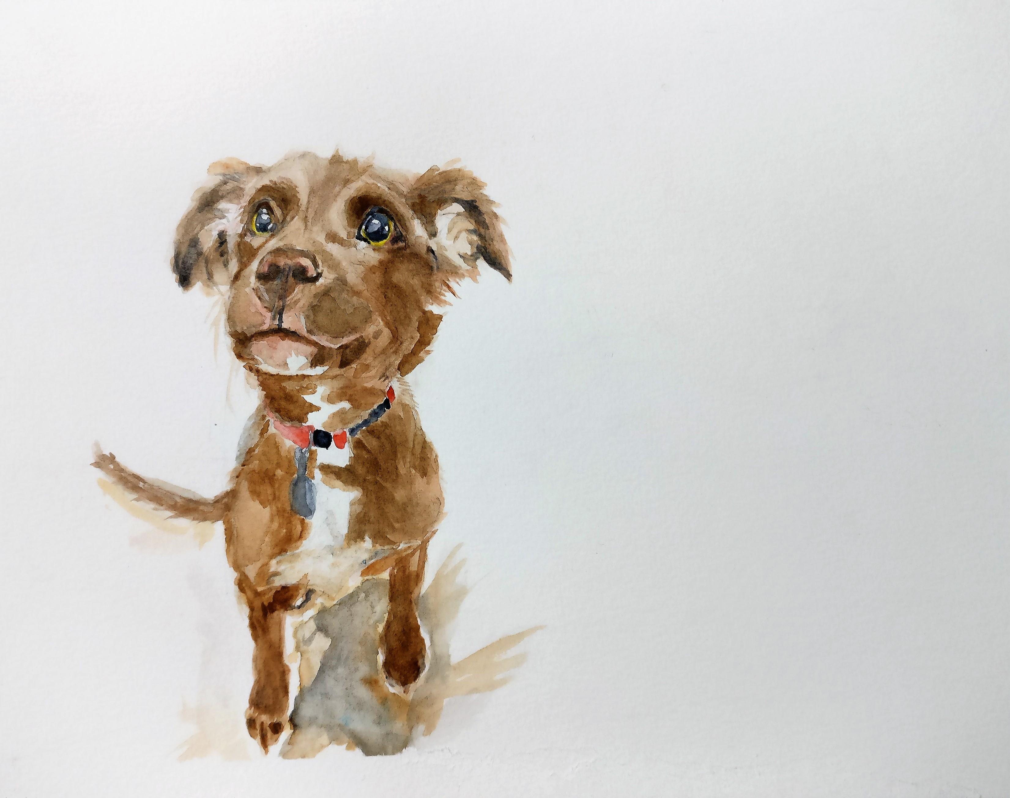 3302x2609 Puppy From Reddit, Watercolours, A4 Art - Watercolor Puppy