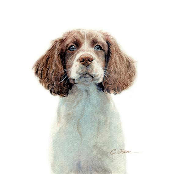 570x570 Watercolor Puppy English Springer Spaniel Puppy Prints Etsy - Watercolor Puppy