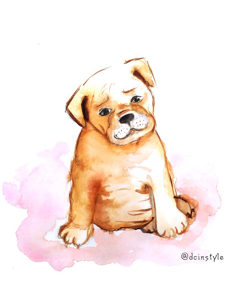 750x1000 Weekly Fluff Puppy Illustration - Watercolor Puppy