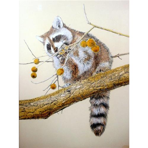 500x500 Hans Paul Luetcke, Watercolor Raccoon - Watercolor Raccoon