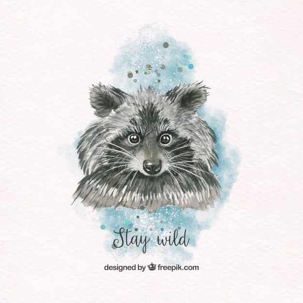 626x626 Pretty Watercolor Raccoon Vector Free Download - Watercolor Raccoon
