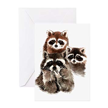 355x355 Cafepress - Watercolor Raccoon