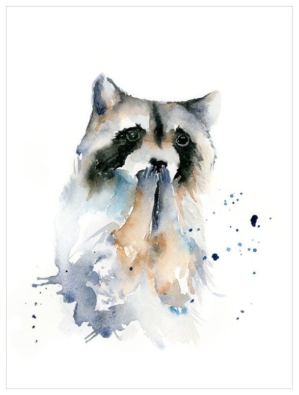 587x775 Watercolor Raccoon Shop Babybliss - Watercolor Raccoon