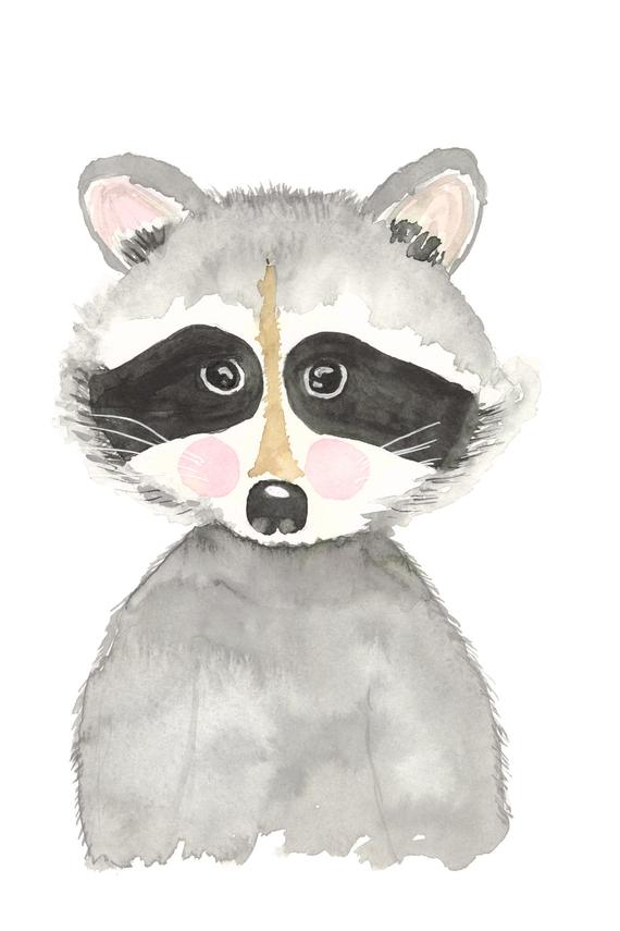 570x855 Watercolor Raccoon Notecards Etsy - Watercolor Raccoon