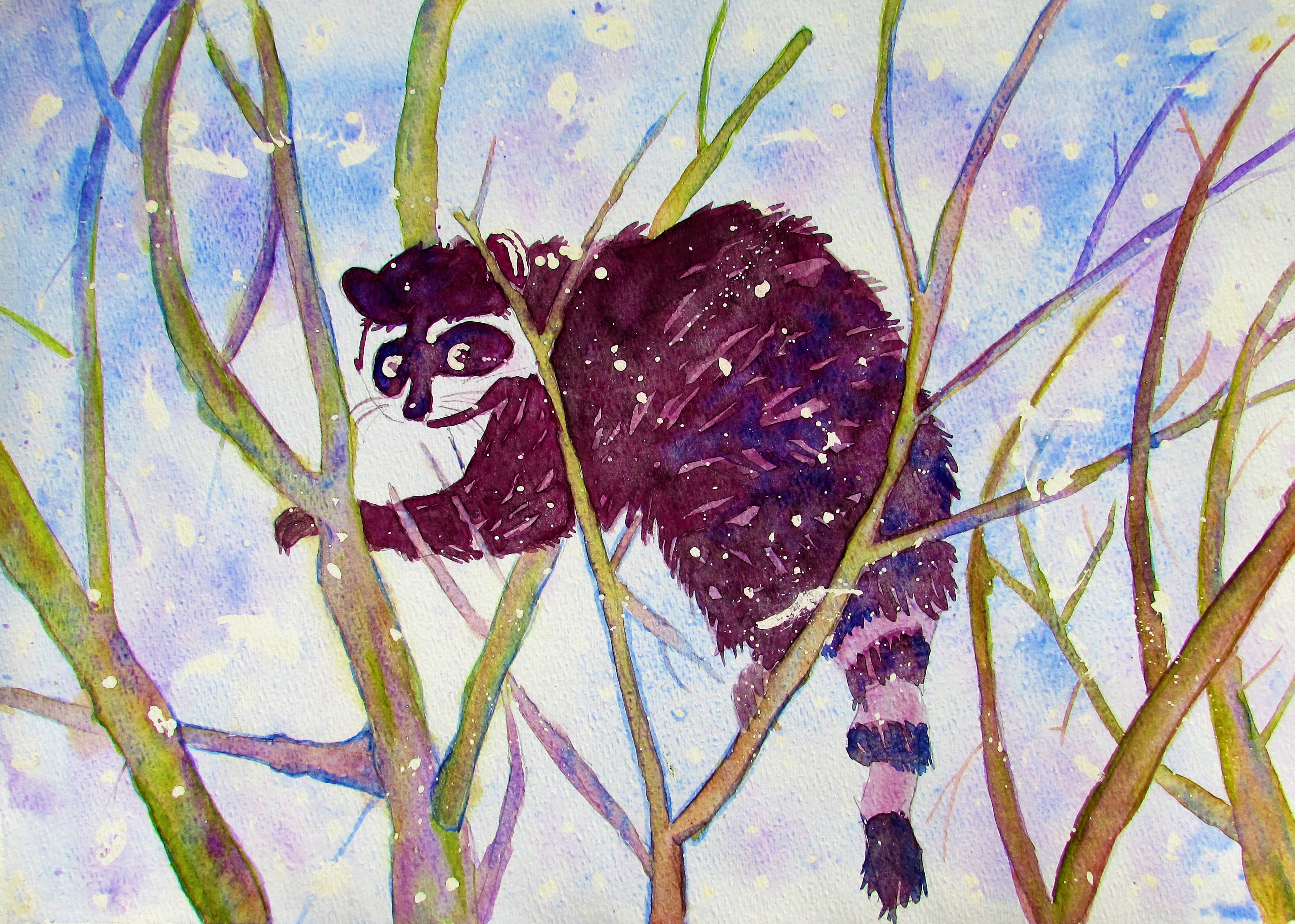 3386x2416 Watercolor Raccoon Choosy Beggar Books - Watercolor Raccoon