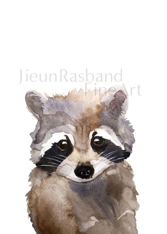 570x798 Baby Raccoon Print - Watercolor Raccoon
