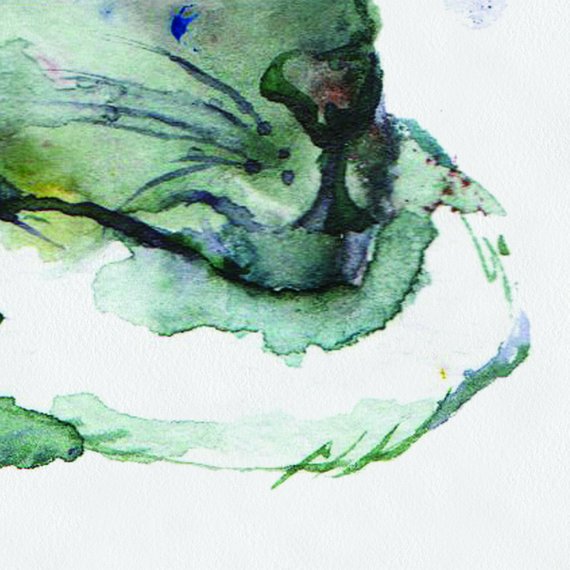 570x570 Green Watercolor Rat Baby Rat Painted Baby Rat On Canvas Rats - Watercolor Rat
