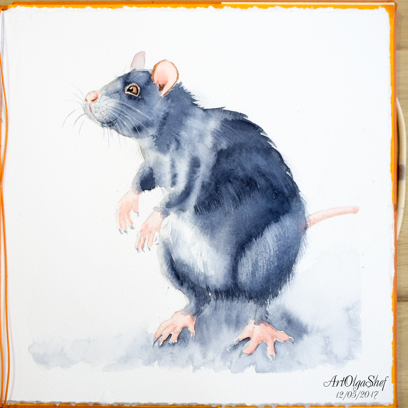 1400x1400 Watercolor Rats. On Wacom Gallery - Watercolor Rat