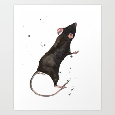 400x400 Rat - Watercolor Rat