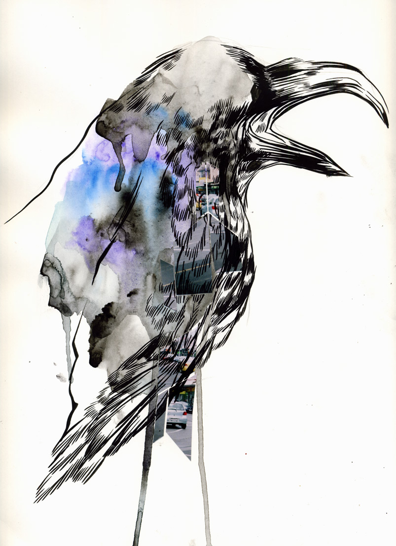803x1107 Mc Drawn Raven Sketch Watercolour, Photos, Brush And Ink - Watercolor Raven Tattoo