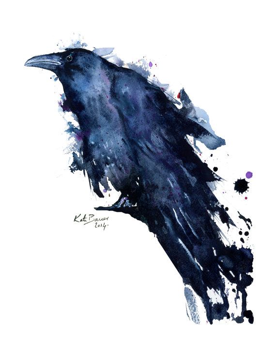 570x738 Watercolor Bird Art - Watercolor Raven Tattoo