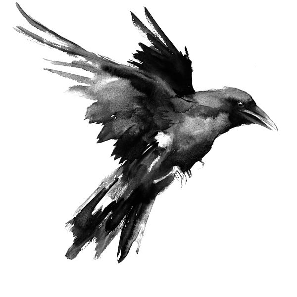 600x600 Watercolor Black And Grey Raven Tattoo Design - Watercolor Raven Tattoo