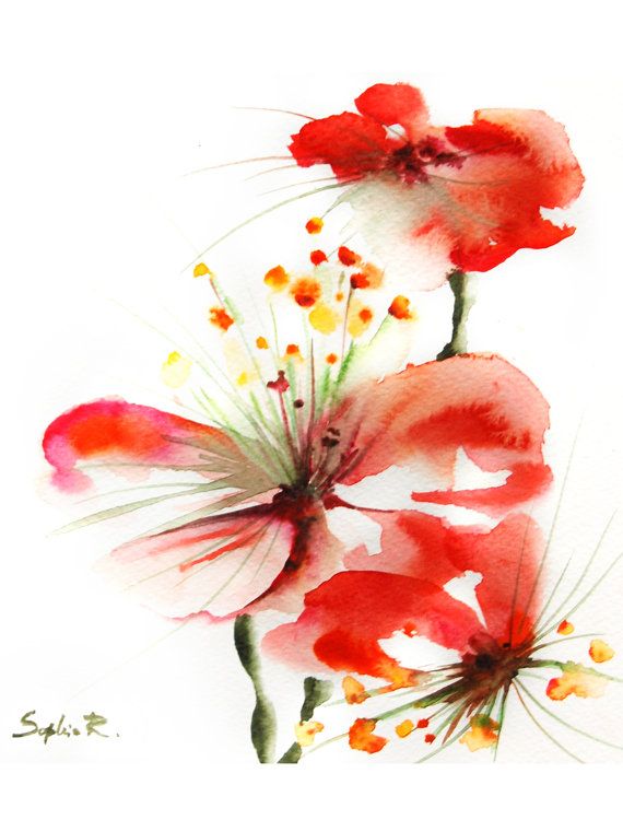 570x750 Red Flowers - Watercolor Red Flowers