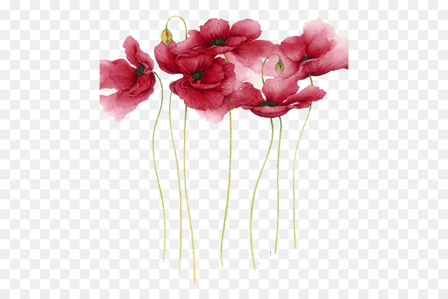 900x600 Watercolor Painting Flower Artist - Watercolor Red Flowers