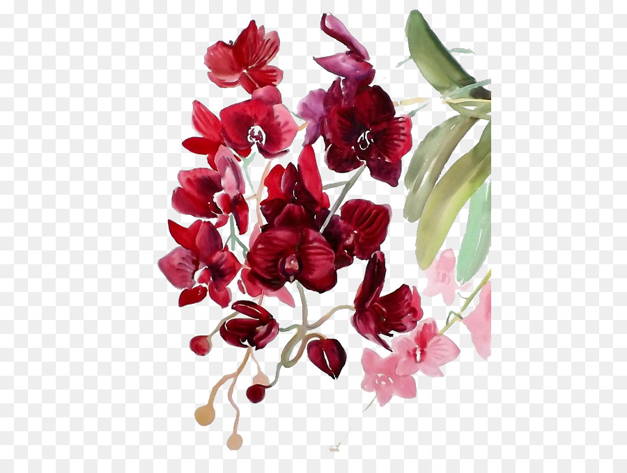 900x680 Watercolor Painting Watercolor Flowers Watercolour Flowers - Watercolor Red Flowers