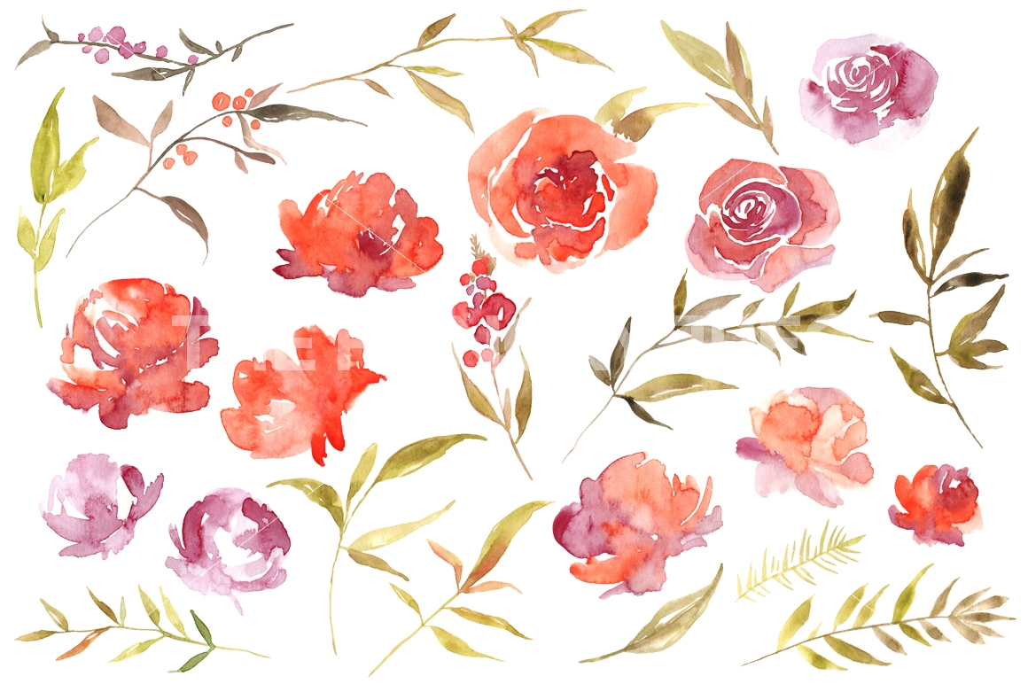 1160x772 Watercolor Red Scarlet Png Flowers, Leaves, Branches By - Watercolor Red Flowers