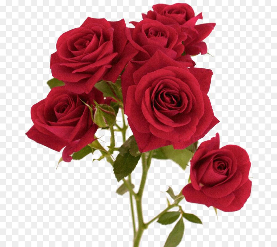 900x800 Download Red Flower Color Floral Watercolor Flowers Line Drawing - Watercolor Red Flowers