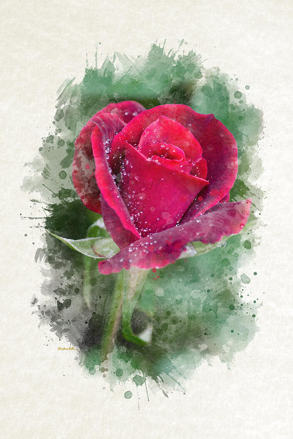 600x900 Red Rose Watercolor Art Mixed Media By Christina Rollo - Watercolor Red Rose