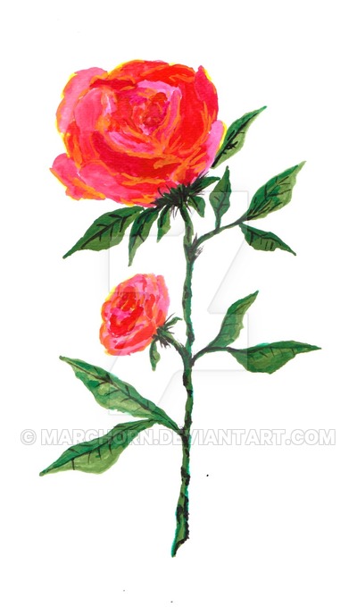 400x679 Red Rose Watercolor By Marchorn - Watercolor Red Rose