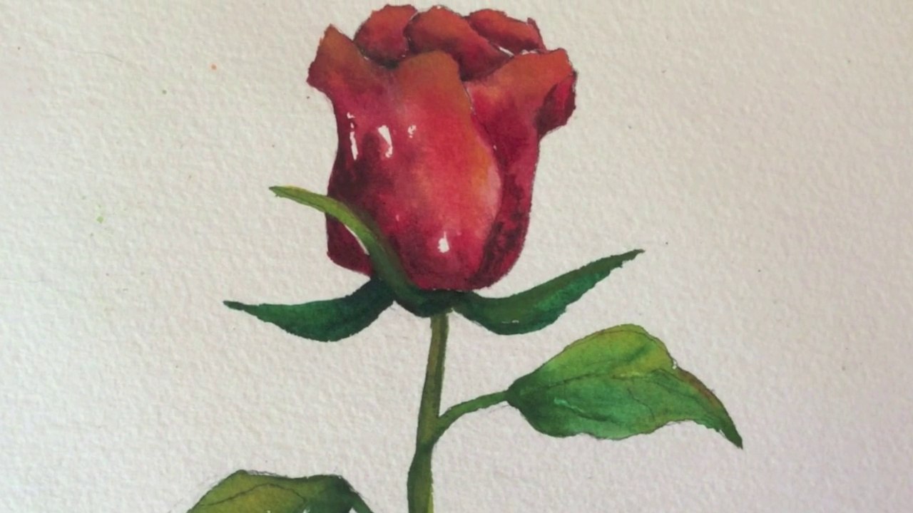 1280x720 Step By Step Watercolor Tutorial ~ How To Paint A Red Rose - Watercolor Red Rose