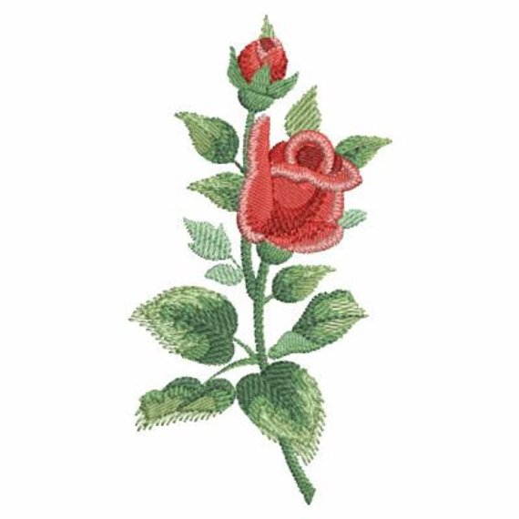 Watercolor Red Rose at PaintingValley.com | Explore collection of ...