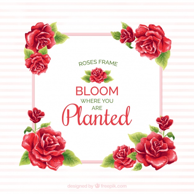 626x626 Frame Of Red Roses With Watercolor Message Vector Free Download - Watercolor Red Rose