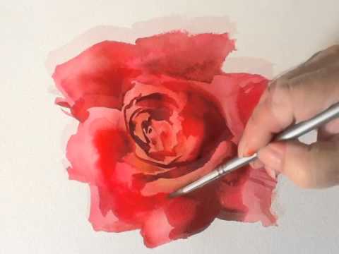 480x360 How To Paint A Red Rose In Watercolours By Trevor Waugh - Watercolor Red Rose