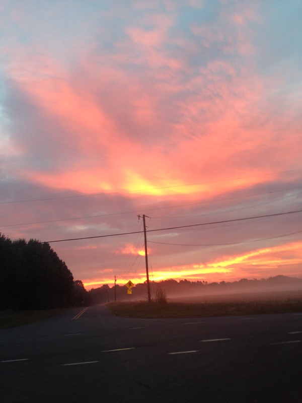 600x800 Watercolor Reference - Watercolor Reference Photos