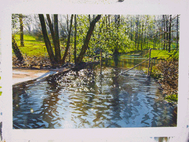 375x281 Joe Dowden - Watercolor Reflections In Water