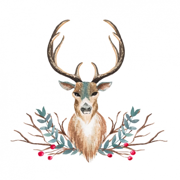 626x626 Watercolor Deer Design Vector Free Download - Watercolor Reindeer