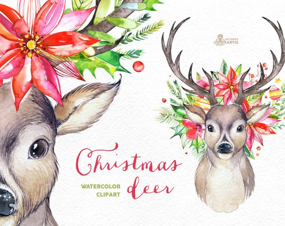 570x453 Christmas Deer. Watercolor Deers Antlers Flowers Hand Etsy - Watercolor Reindeer