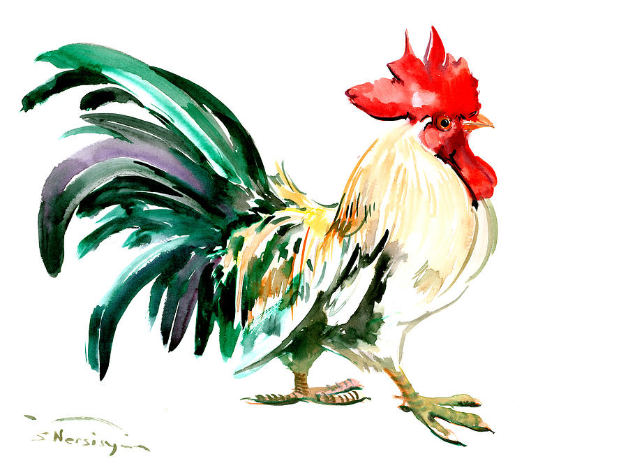 900x680 Rooster Painting By Suren Nersisyan - Watercolor Rooster
