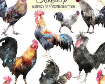 340x270 Rooster Watercolor Etsy - Watercolor Rooster