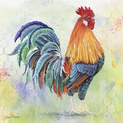 432x432 Watercolor Rooster - Watercolor Rooster