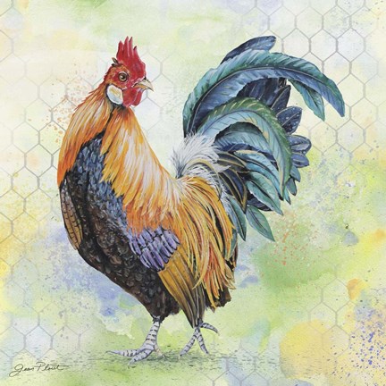 432x432 Watercolor Rooster - Watercolor Rooster