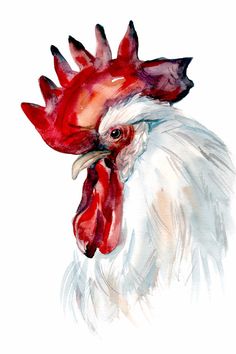 236x354 Watercolor Rooster Print, Rooster Digital Print, Instant Digital - Watercolor Rooster