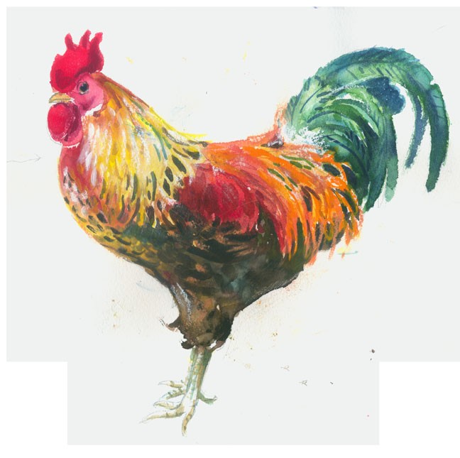 648x645 Watercolor Lesson Painting A Colorful Bantam Rooster Andrea - Watercolor Rooster