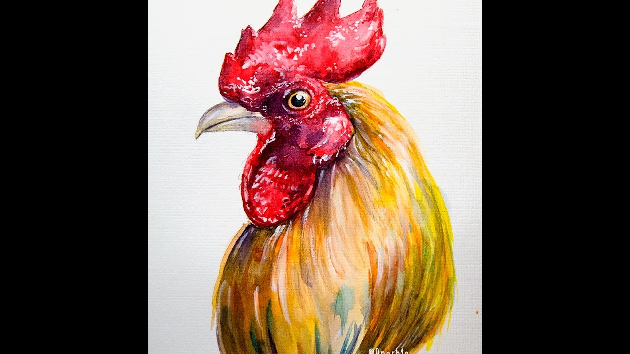 1280x720 Watercolor Rooster - Watercolor Rooster
