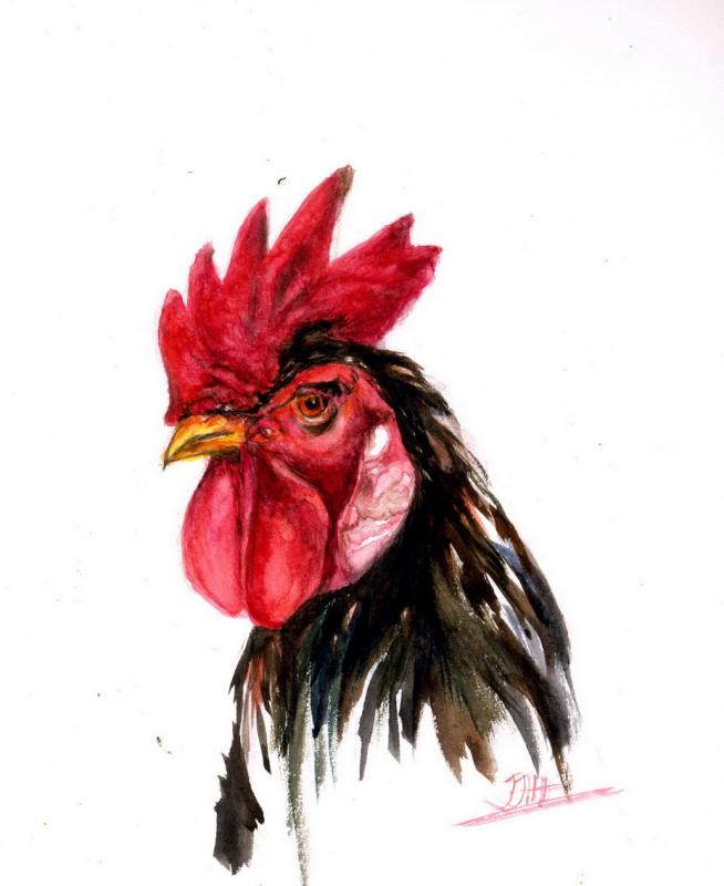 654x800 Rooster(S), Not Of The Cogburn Kind.. - Watercolor Rooster Paintings