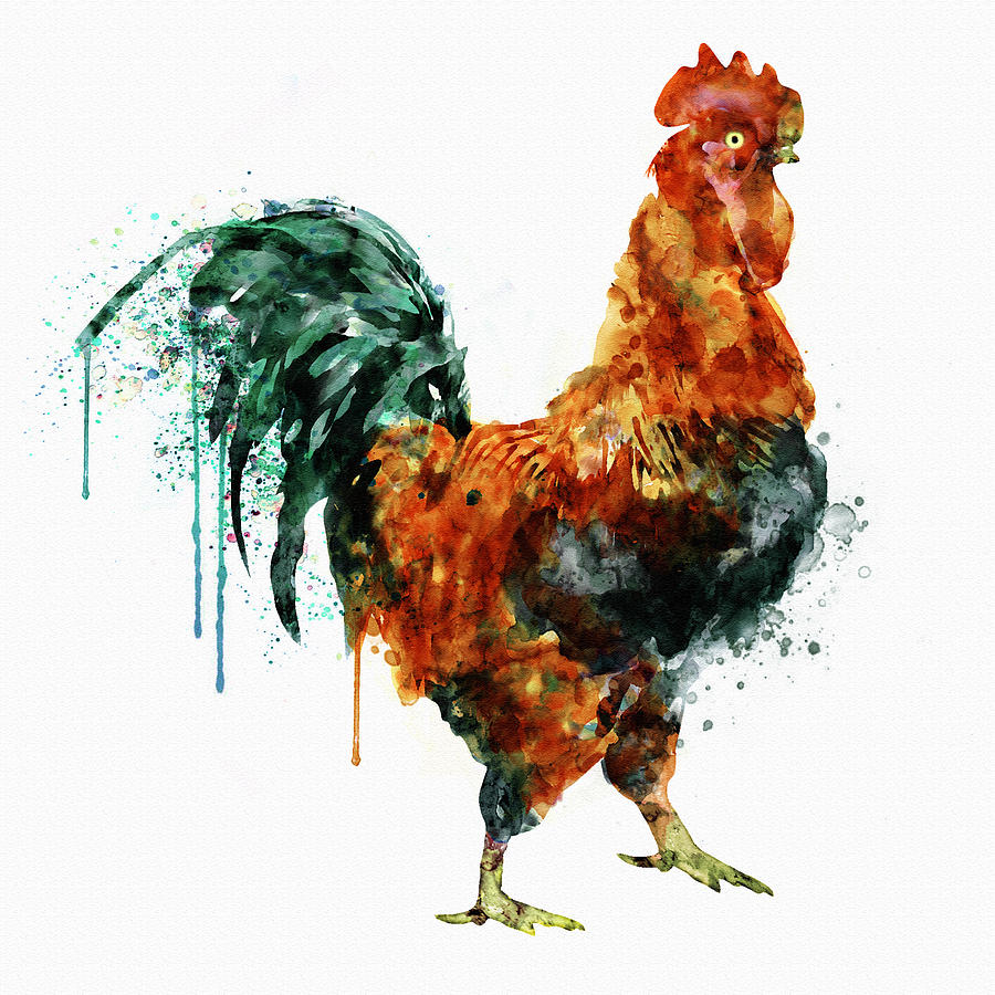 900x900 Rooster Watercolor Painting Painting By Marian Voicu - Watercolor Rooster Paintings