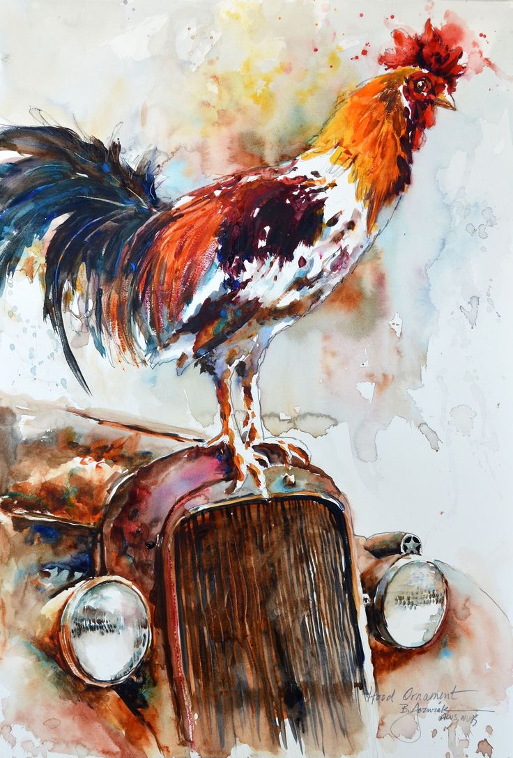 736x1088 The 9 Best Images About Rooster - Watercolor Rooster Paintings