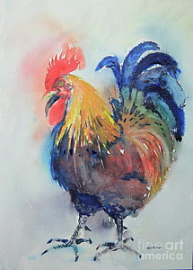 215x300 Watercolor Rooster Paintings - Watercolor Rooster Paintings