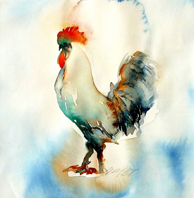 736x753 Watercolor Rooster Paintings - Watercolor Rooster Paintings